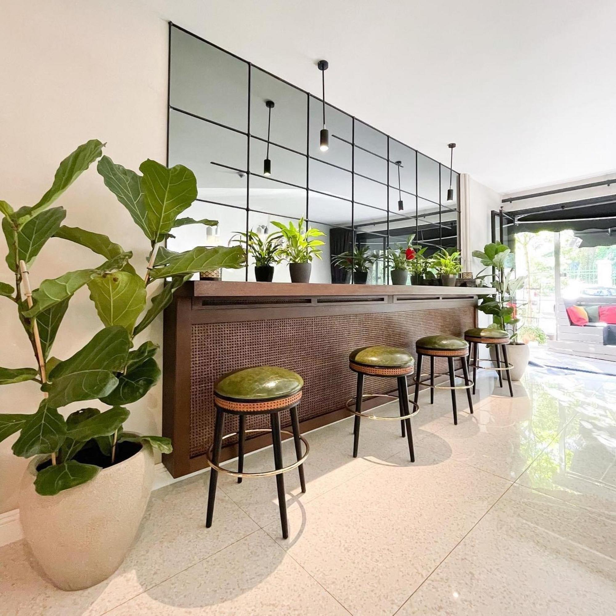 Hotel Botanica بلغراد المظهر الخارجي الصورة
