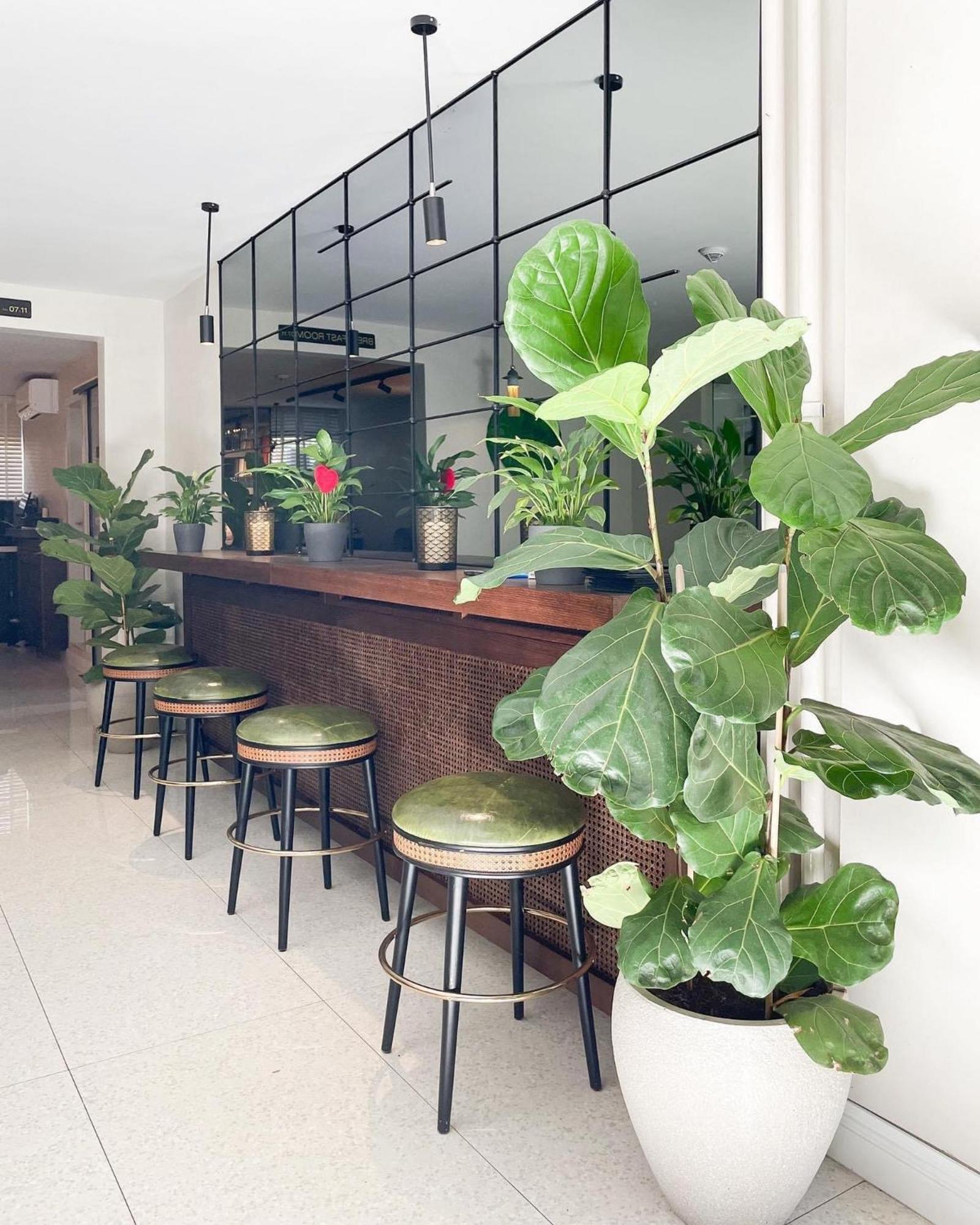 Hotel Botanica بلغراد المظهر الخارجي الصورة